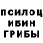 Псилоцибиновые грибы Magic Shrooms Ludmlla Naumovich