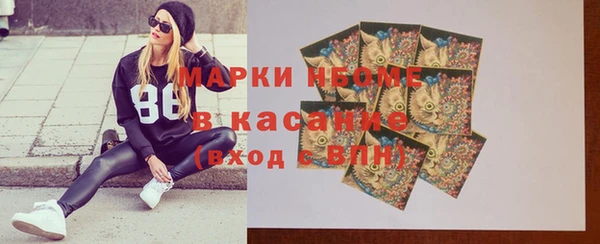стафф Арсеньев