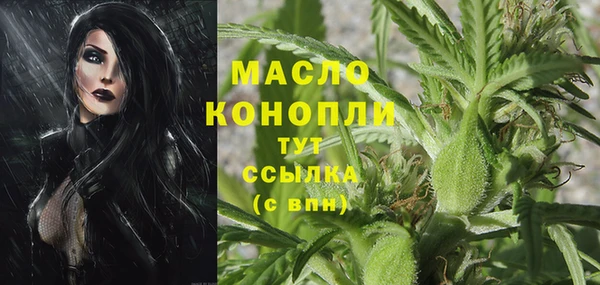 стафф Арсеньев